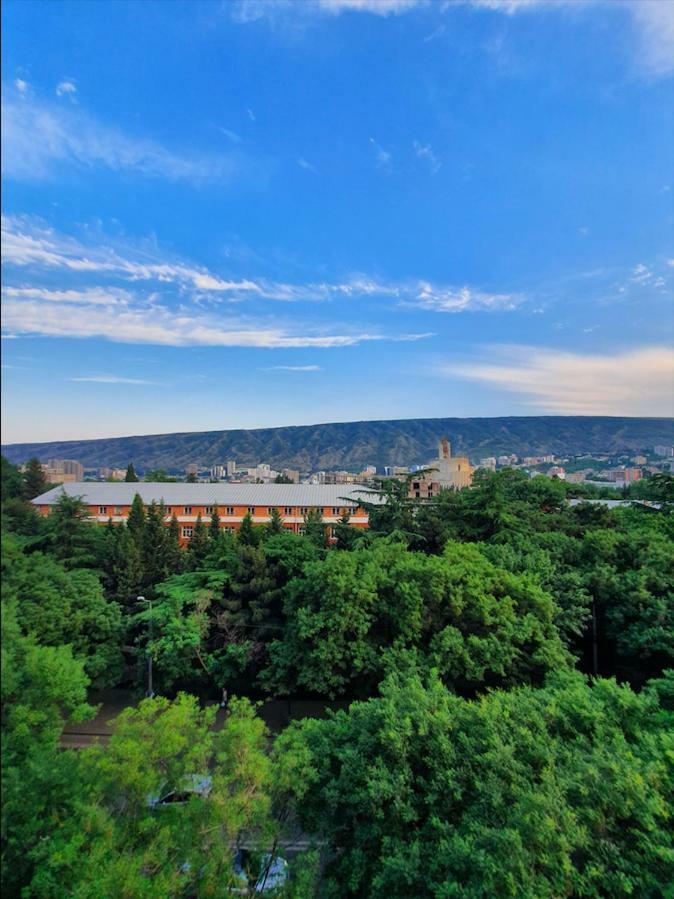 5 Rooms Near 300 Aragveli Metro Station Тбилиси Екстериор снимка